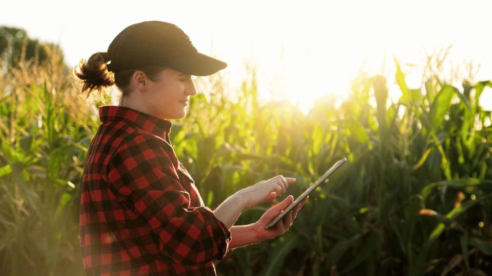 noticias-y-actualizaciones-cevacos