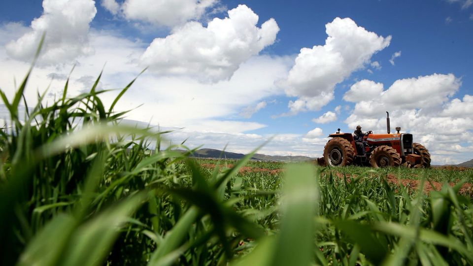 tractor-campo-cevacos